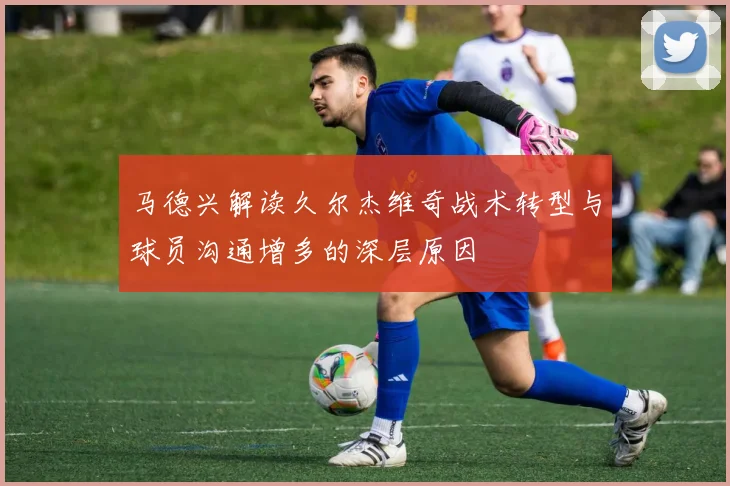 马德兴解读久尔杰维奇战术转型与球员沟通增多的深层原因