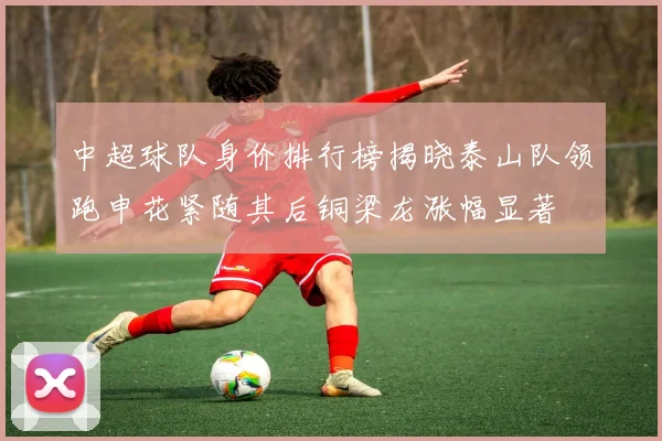 中超球队身价排行榜揭晓泰山队领跑申花紧随其后铜梁龙涨幅显著